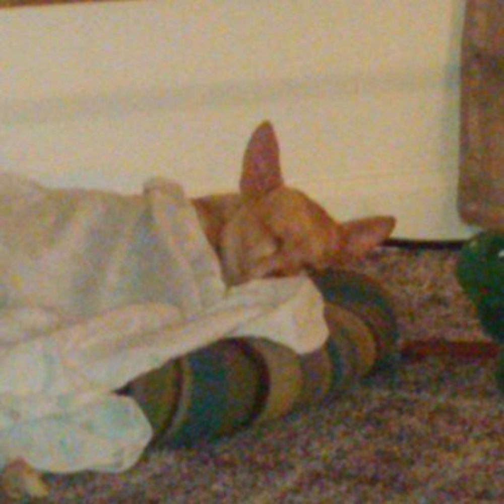 Meet your Posher, Terry